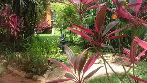 Un jardin avec différentes espèces de plantes et un sentier en pierre.