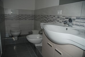 Shower, free toiletries, hair dryer, bidet