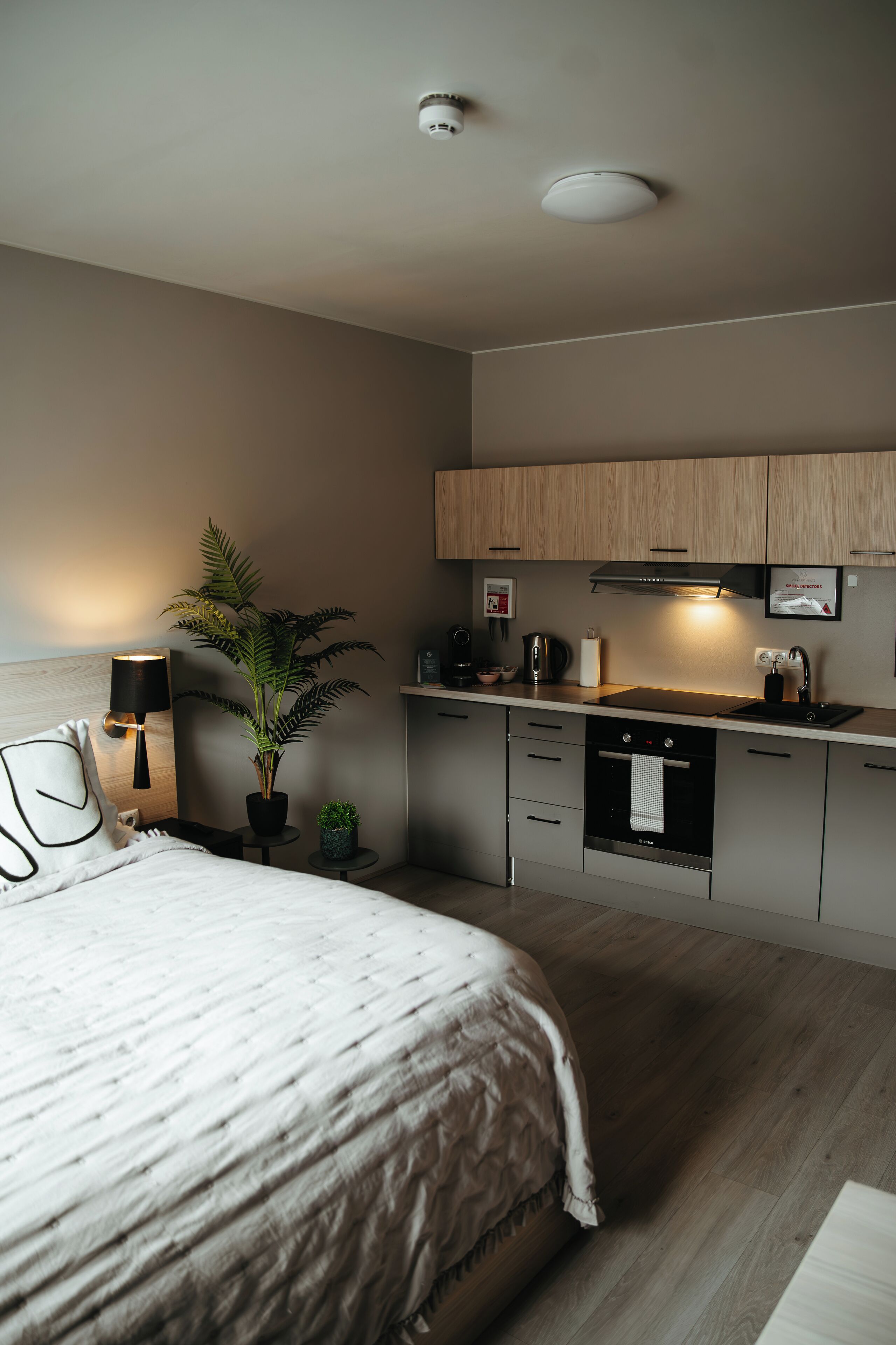 A modern bedroom with a large bed, bedside lamp, and a small potted plant.