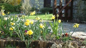 A garden with yellow flowers and a stone building in the background. - Chambres d'hotes Maison Prairie Bonheur (Magny-les-Hameaux)