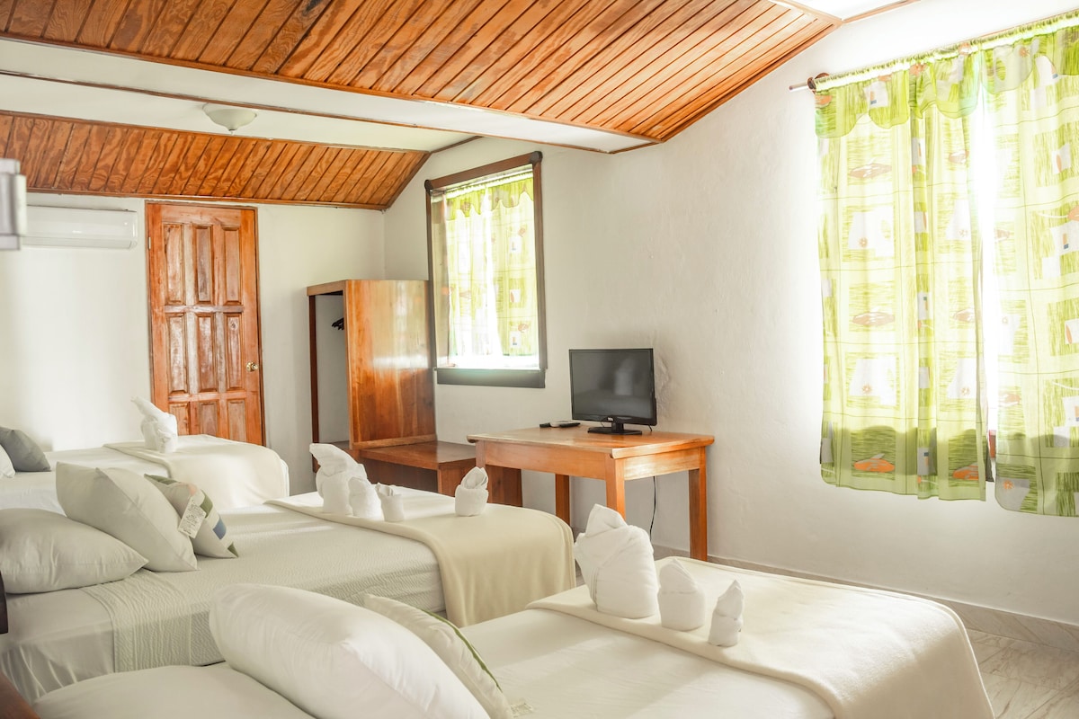 A hotel room with two beds, a television, a wooden ceiling, and a window with curtains.