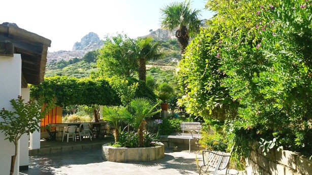 Un patio con mobiliario exterior, una palmera y vistas a un paisaje montañoso.