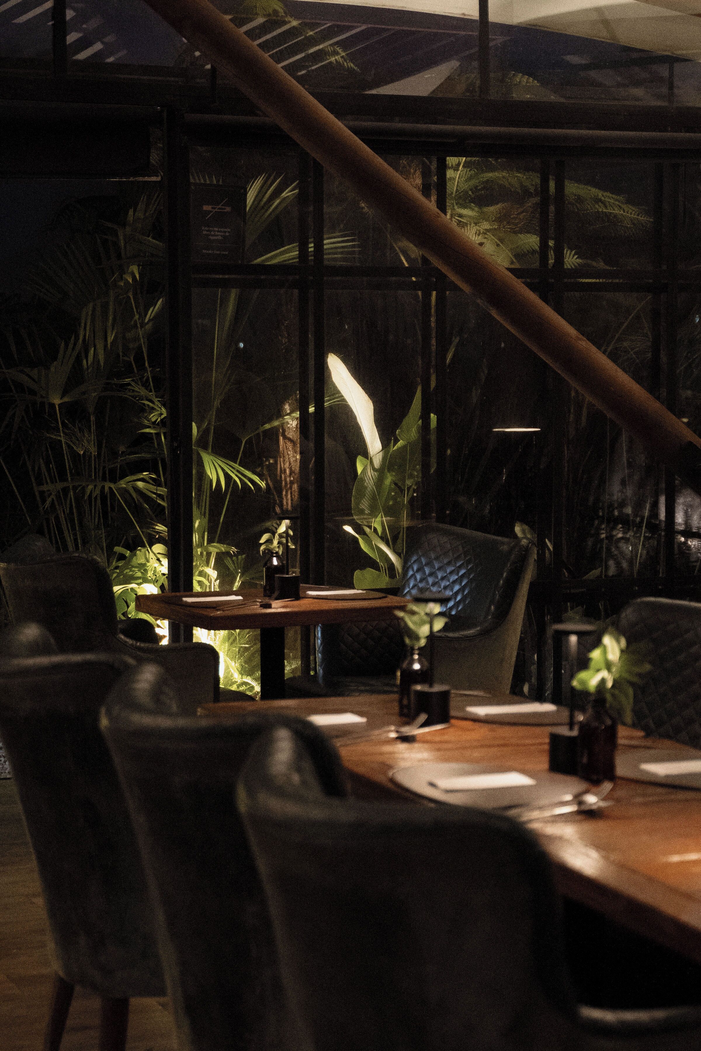 A dimly lit indoor space with a wooden table, chairs, and potted plants.