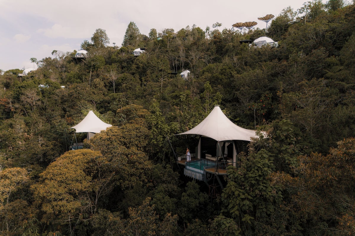 Uma casa na árvore com piscina, rodeada por uma floresta densa.