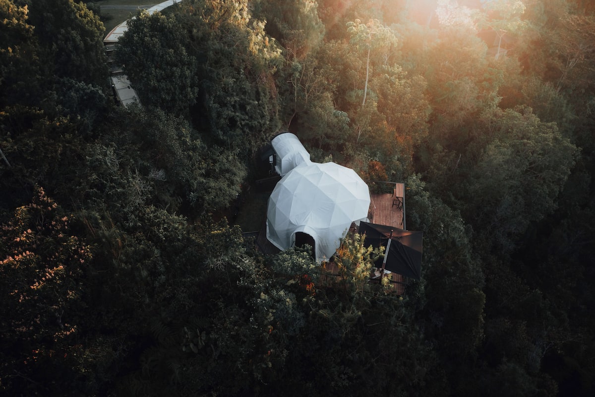 Une structure en forme de dôme géodésique, entourée d’une forêt dense.