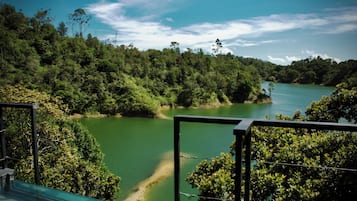 Vista de un río rodeado de bosque denso, con una barandilla metálica al frente.