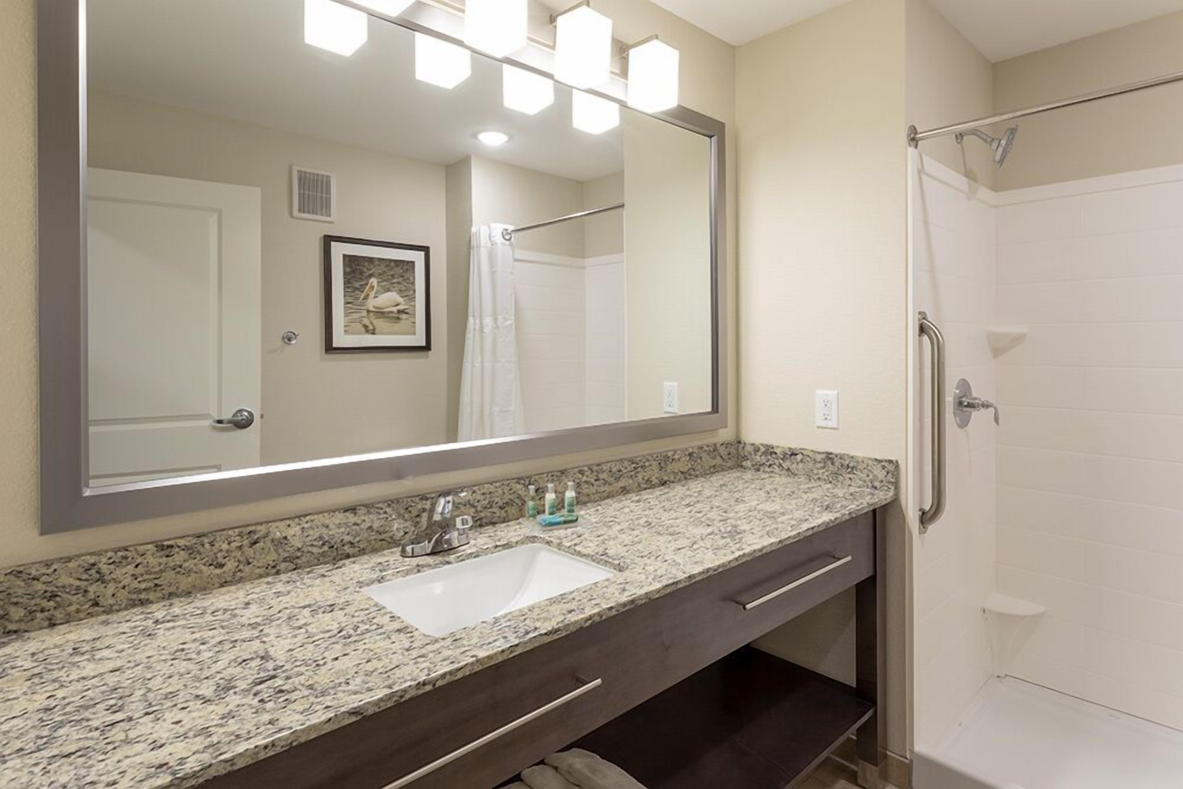 suite, 1 king bed with sofa bed | bathroom | free toiletries, hair dryer