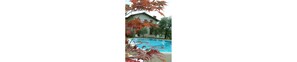 Piscine extérieure (ouverte en saison)