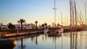Un puerto deportivo con varios yates amarrados, agua tranquila y palmeras.