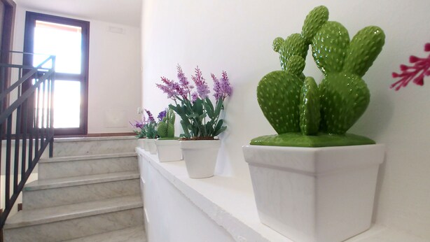 A staircase with white walls and a window. There are potted plants on the landing, including a large cactus and smaller plants with purple flowers. - B&B Il Campanile (Sciacca)