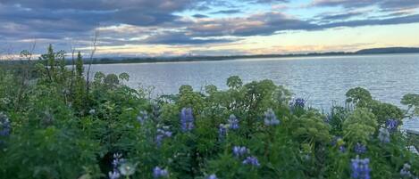 Un paisaje natural con una masa de agua, cielo nublado y flores silvestres en primer plano.