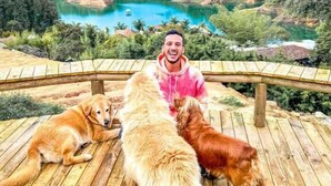 A person with three dogs on a wooden deck overlooking a lake and forested hills.