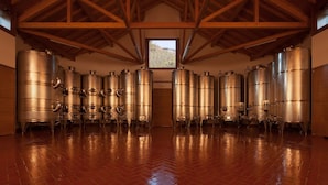 A spacious room with a high ceiling and wooden beams, featuring multiple stainless steel fermentation tanks arranged in rows. - Agriturismo I Comelli (Nimis)
