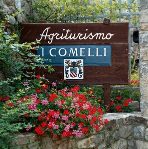 Exterior - Agriturismo I Comelli (Nimis)