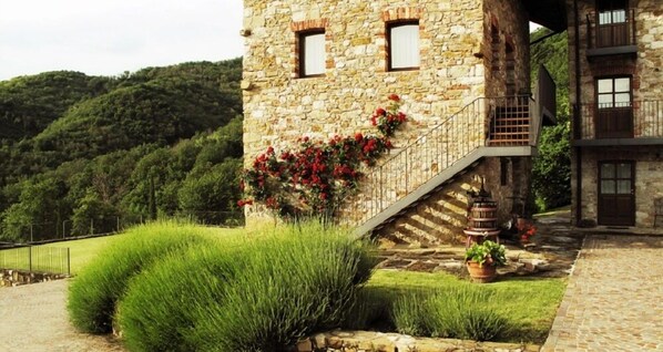 Exterior - L'Uva e le stelle (Faedis)