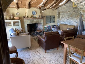 Smart TV, fireplace, ping pong, books