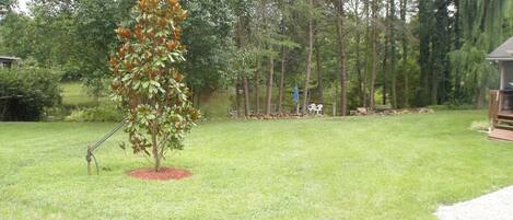 A well-maintained lawn with a single tree in the foreground and a wooden structure in the background.