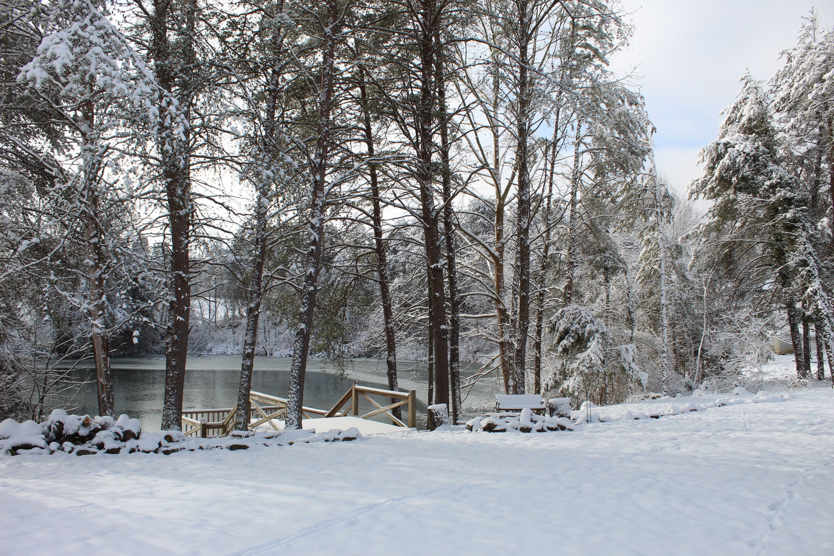 deck and pond snowy  view