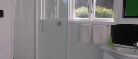 Hair dryer, towels, shampoo, toilet paper