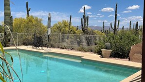 A pool with a clear blue water surface, surrounded by cacti and desert vegetation, and a metal fence in the background.