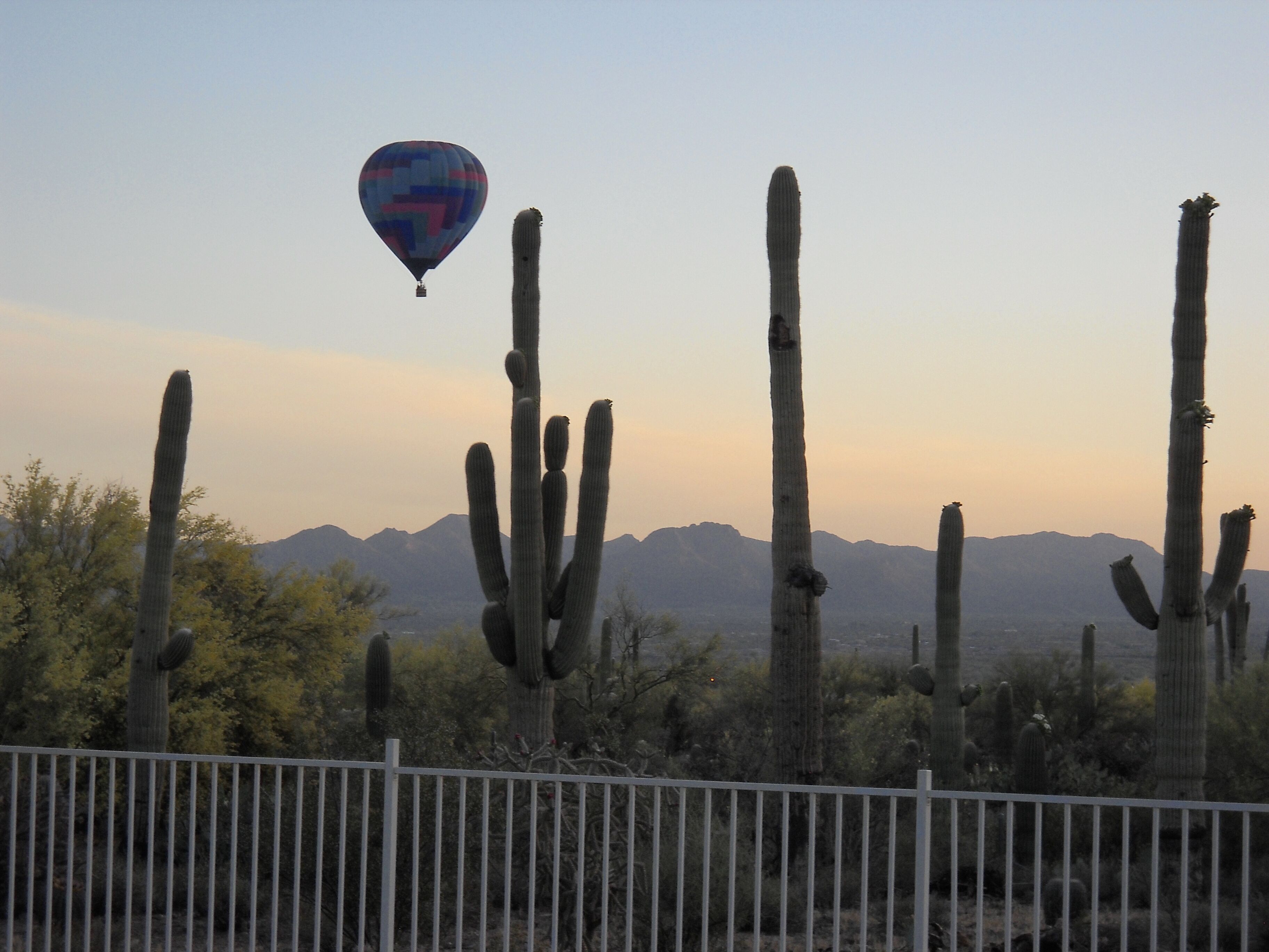 A desert landscape with cacti and mountains in the background.