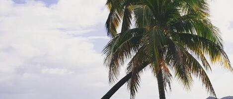 Playa en los alrededores, camastros y toallas de playa