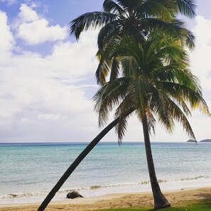 Una playa con palmeras y cielo despejado.