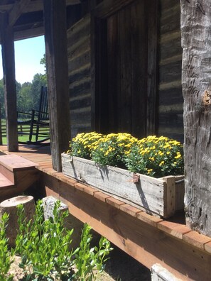 Détail de l’extérieur