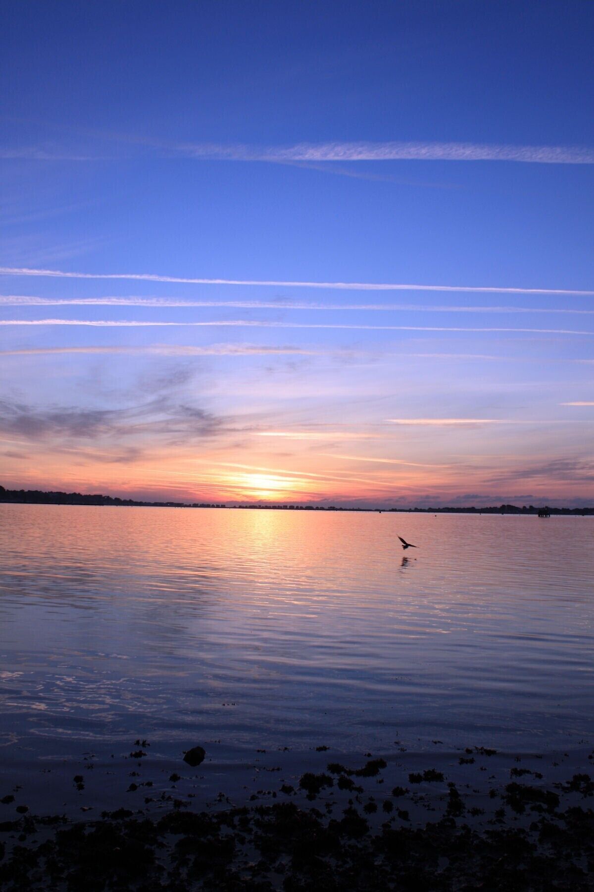 Stille vandflade der spejler en solnedgang under en klar himmel.