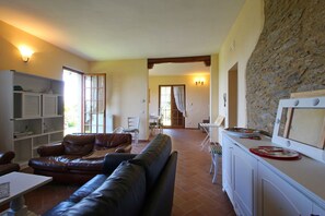 TV, fireplace, DVD player - Private Villa with A/C, WIFI, TV, terrace, pets allowed, panoramic view, close to Forte Dei Marmi (Strettoia)