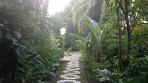 Ein Weg mit kreisrunden Mosaikfliesen, umgeben von üppiger tropischer Vegetation.