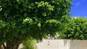 Comfort House, 3 Bedrooms, Private Pool, Pool View | Terrace/patio