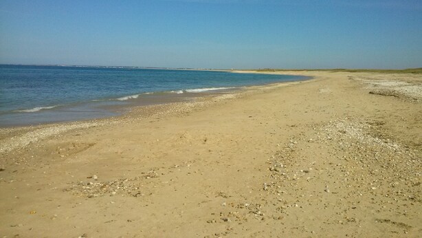 Una platja ampla i sorrenca amb onades suaus, un cel clar i terra a la distància.