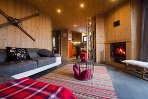 Télévision, cheminée, jeux vidéo, chaîne hi-fi