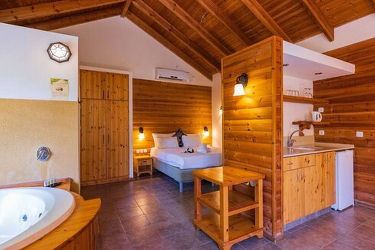 Een houten cabin met een badkamer, een bed en een kleine kitchenette.