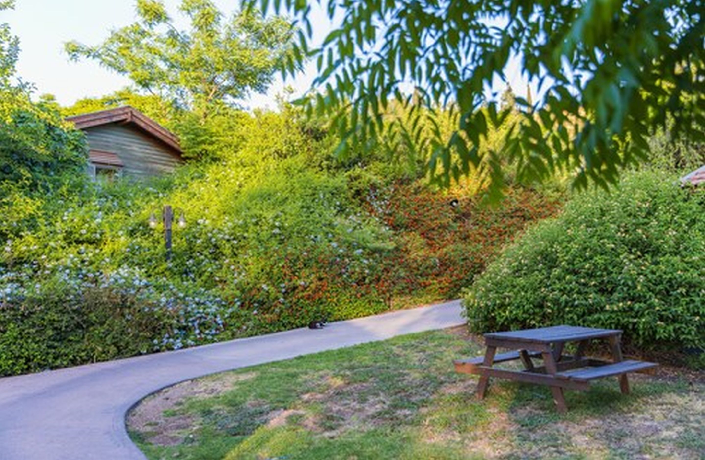 Una mesa de picnic de madera en un jardín frondoso, con un camino curvo y un pequeño edificio al fondo.