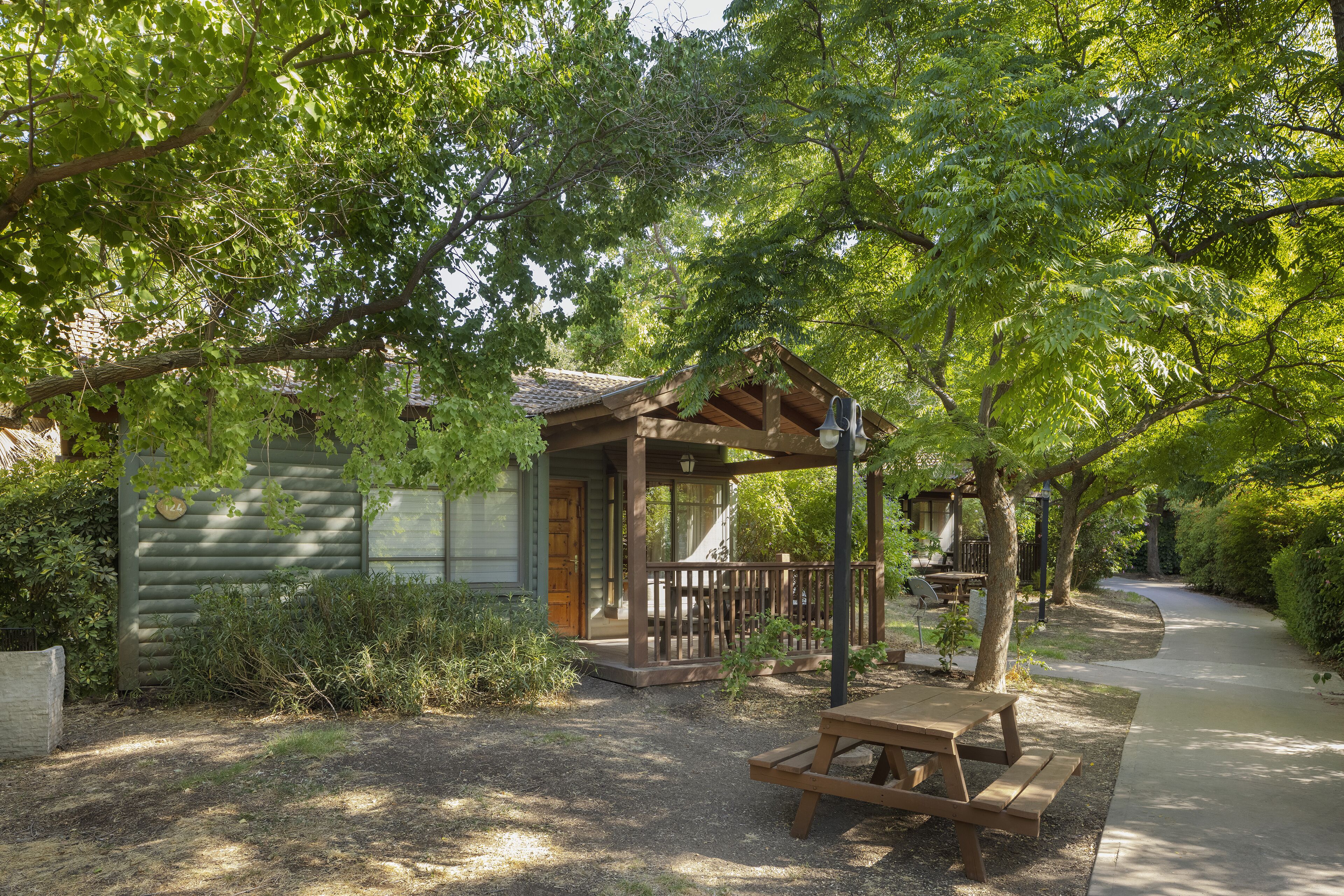 Una cabaña rústica con porche y mesa de picnic, rodeada de abundante vegetación y un camino pavimentado.