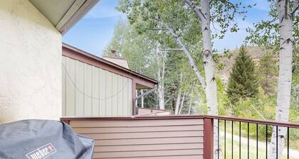 Kodikas kaupunkiasunto w / kannella ja kaasu takka - ilmainen kuljetus reittiä