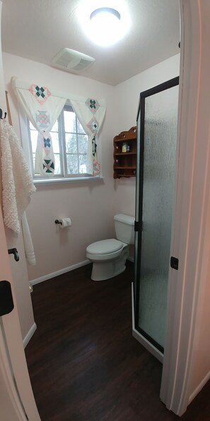 Shower, hair dryer, towels, soap