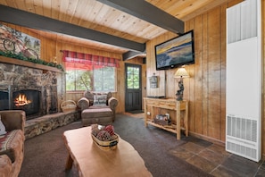 Smart TV, caminetto, lettore DVD, videoteca