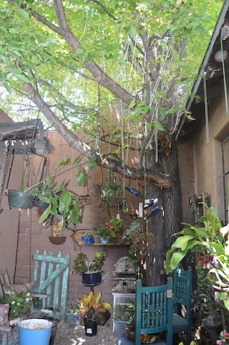 Wonderful, Downtown Treasure