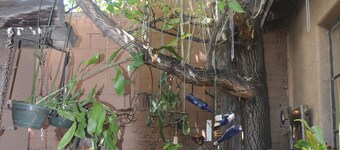 Wonderful, Downtown Treasure