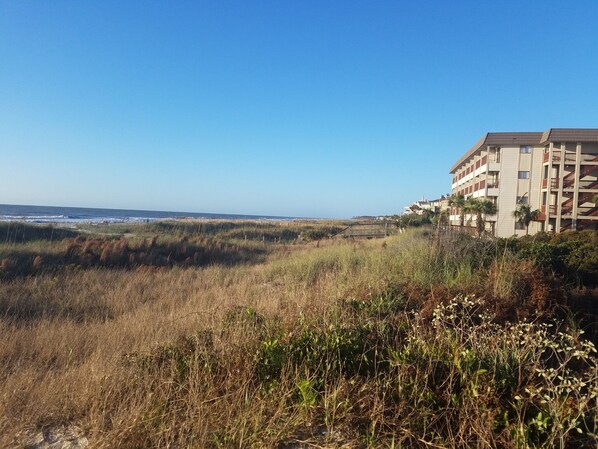 Unclassified image, 1 of 42, button