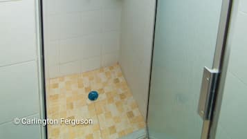 Apartment, 1 King Bed, Non Smoking | Bathroom | Shower, free toiletries