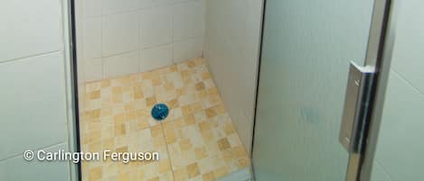 A small, tiled shower stall with a glass door, a soap dish, and a showerhead.