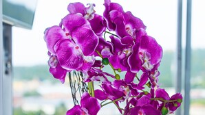 Una orquídea en maceta con vistas a un paisaje urbano a través de una ventana.