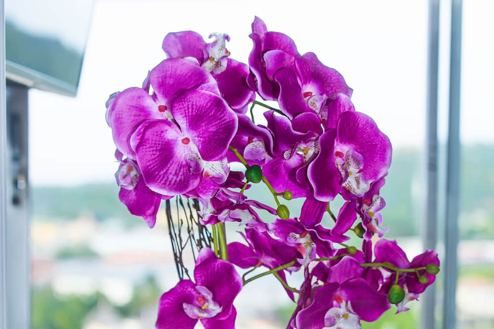 Serenity By The Sea 211B - Turtle Towers