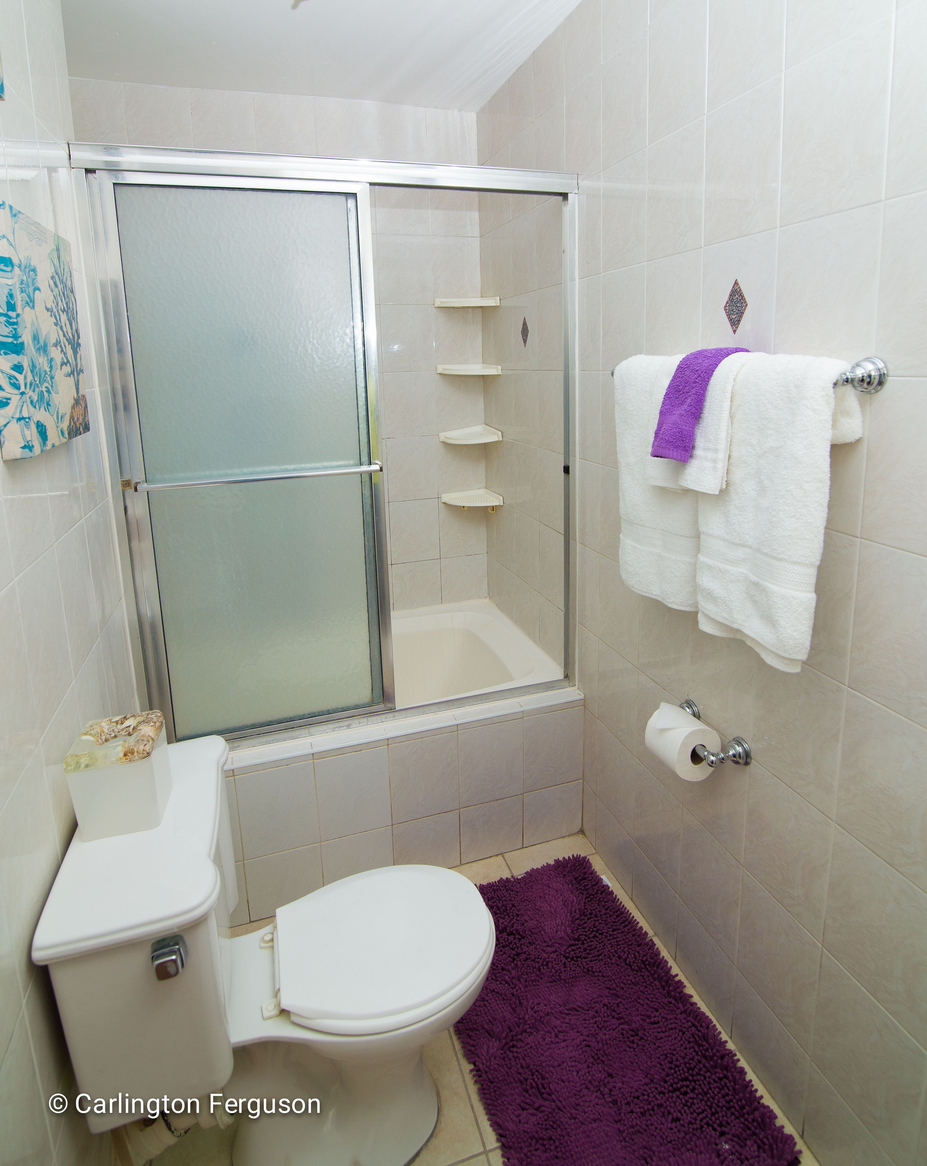 A bathroom with a glass-enclosed shower, a toilet, a bathtub, and a purple bath mat.