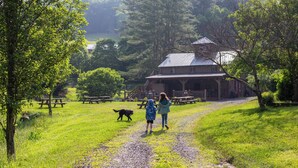 Ein Kiesweg führt zu einem rustikalen Gebäude mit Picknicktischen und einem Hund.