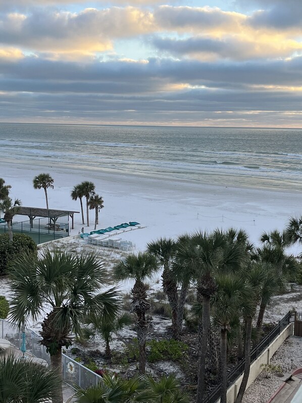 A beach view with palm trees, a covered seating area, and a sandy path leading to the water.